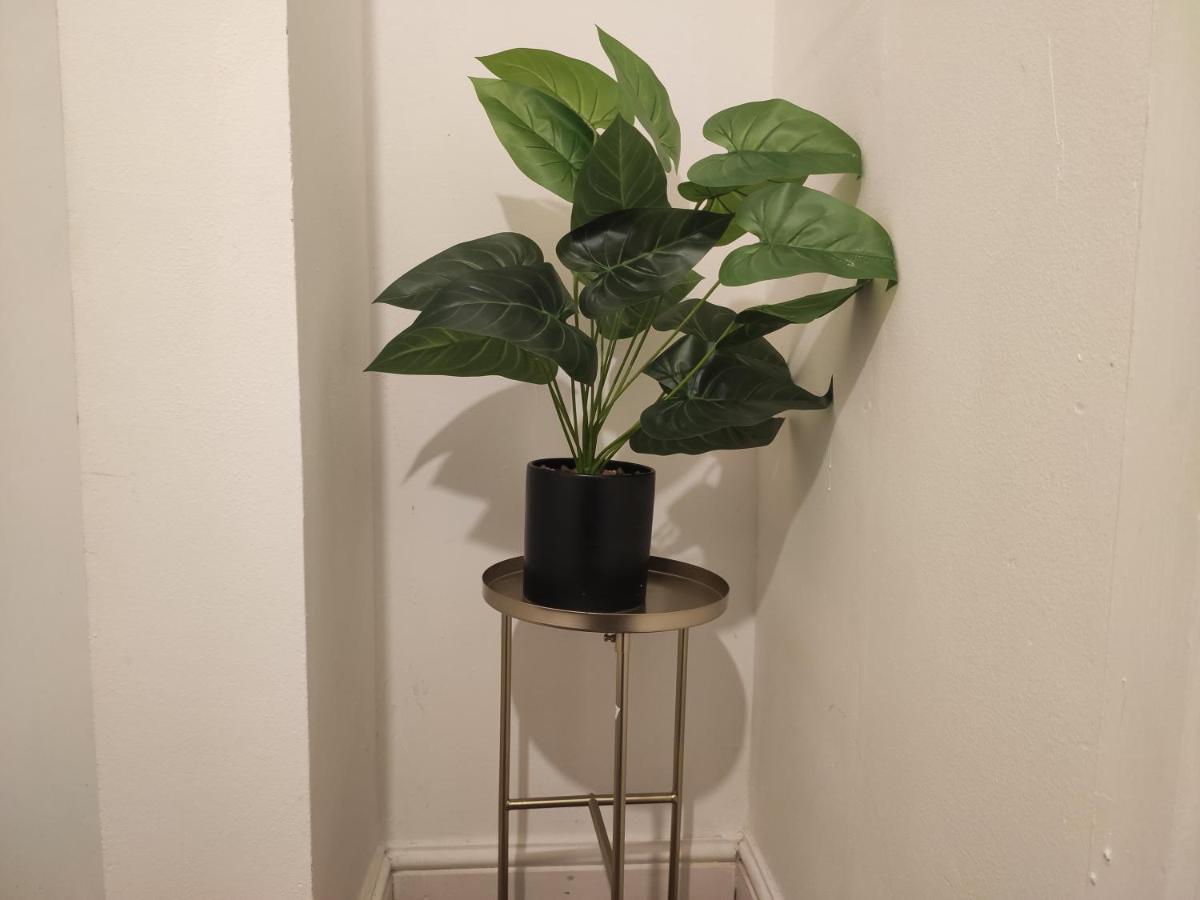 Whitchurch 1 Bedroom Apartment 카디프 외부 사진